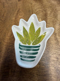 Ring Dish Plant